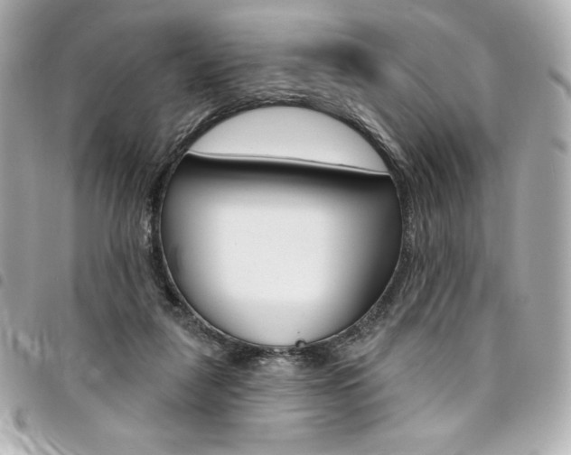 X0000095510259200712140941