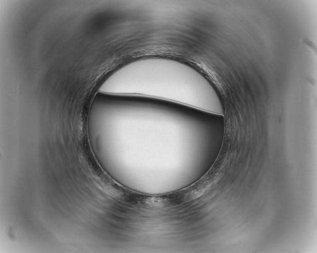 X0000095510261200712140941