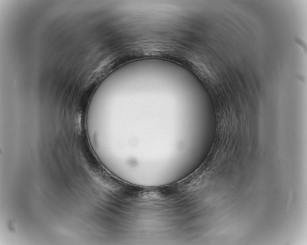 X0000095510262200712140941
