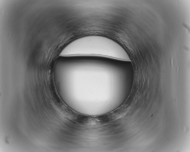 X0000095510263200712140941