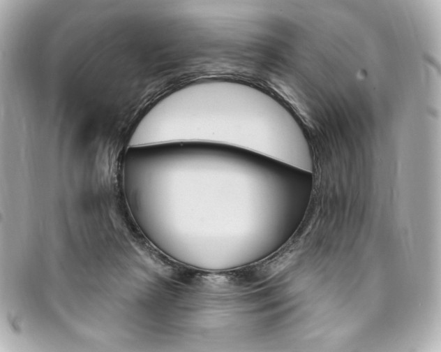 X0000095510265200712140941