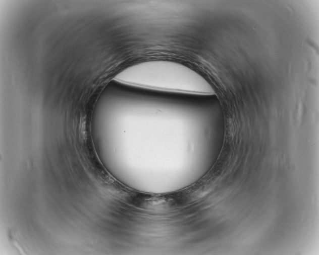 X0000095510267200712140941