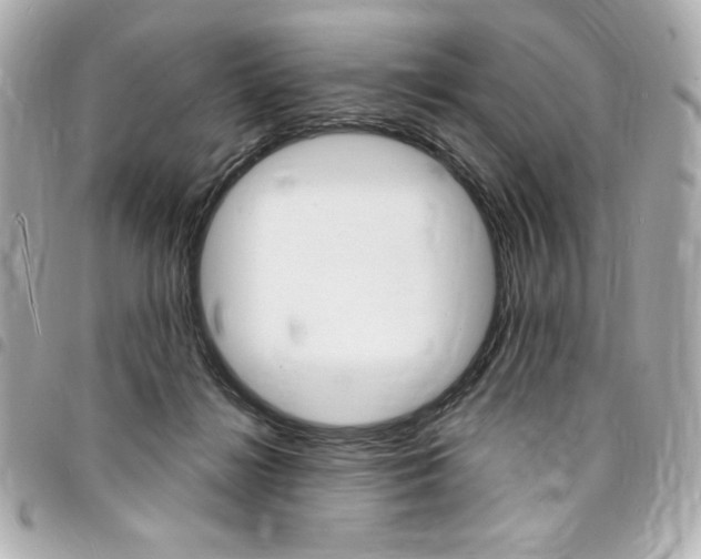 X0000095510268200712140941