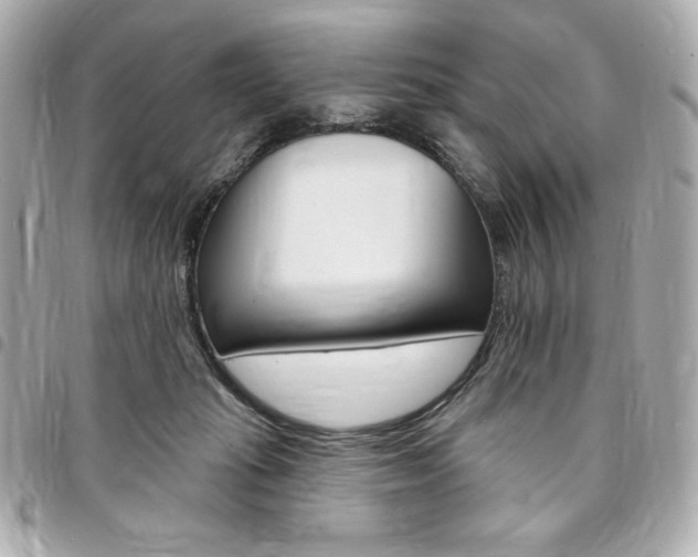 X0000095510269200712140941