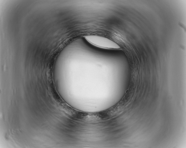 X0000095510270200712140941