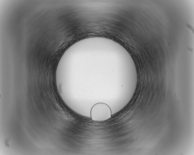 X0000095510272200712140941