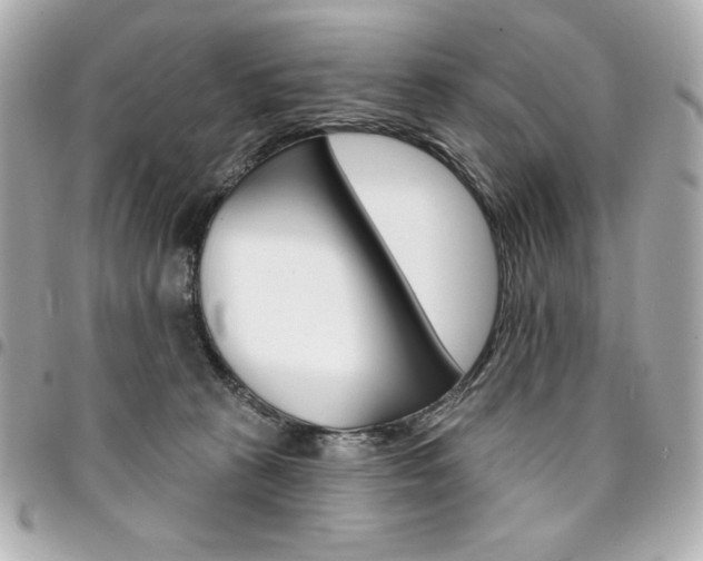 X0000095510273200712140941
