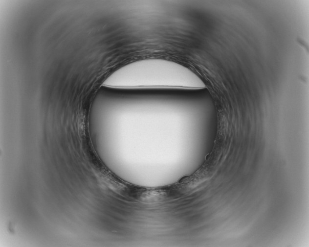 X0000095510274200712140941