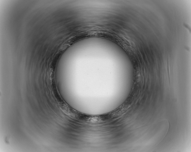 X0000095510275200712140941