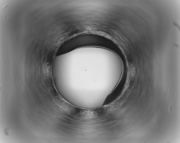 X0000095510276200712140941