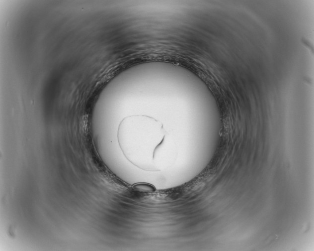 X0000095510278200712140941