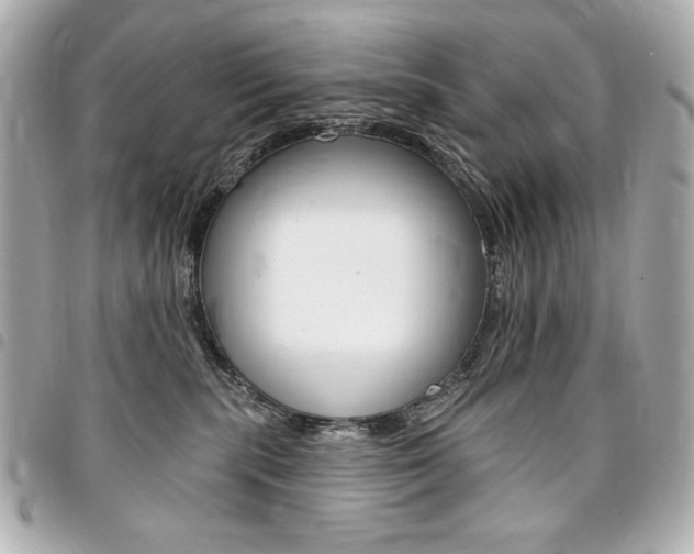 X0000095510283200712140941