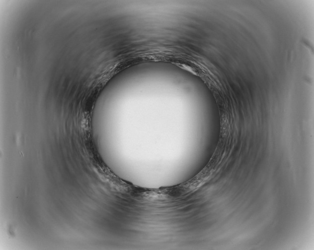 X0000095510284200712140941