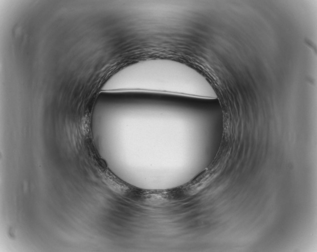X0000095510285200712140941