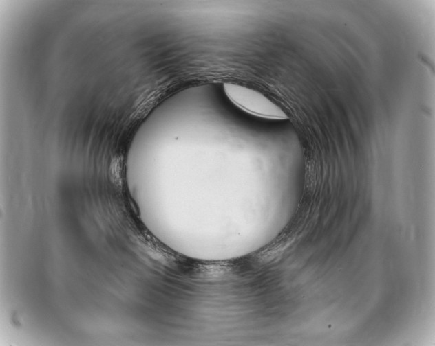 X0000095510286200712140941