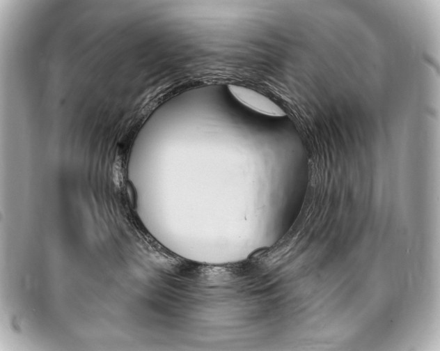 X0000095510287200712140941