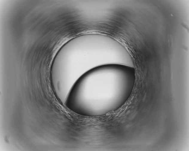 X0000095510289200712140941