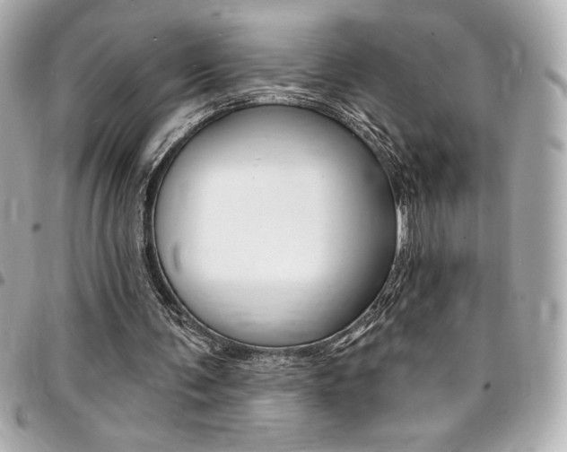 X0000095510291200712140941
