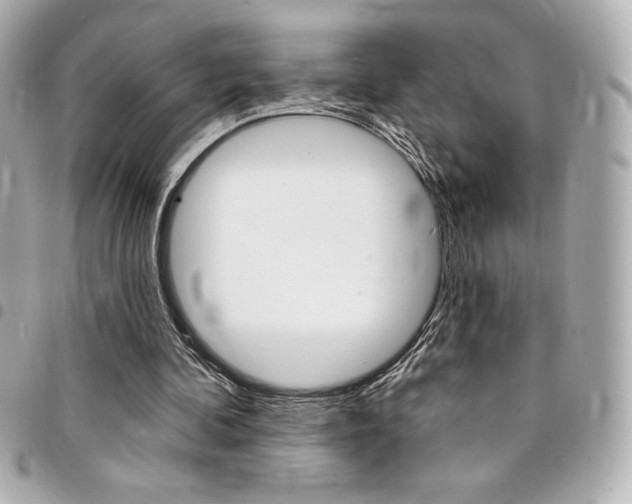 X0000095510292200712140941