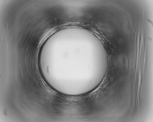 X0000095510293200712140941