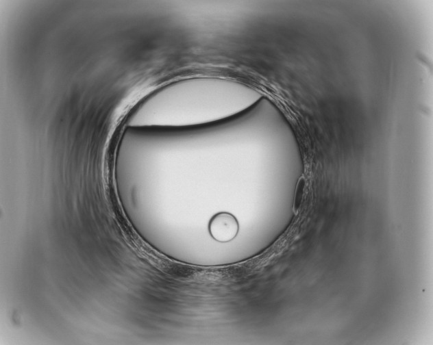 X0000095510294200712140941