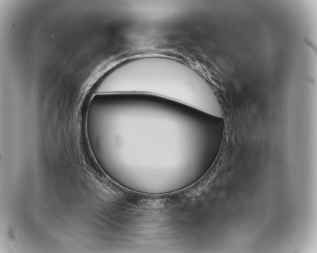 X0000095510295200712140941