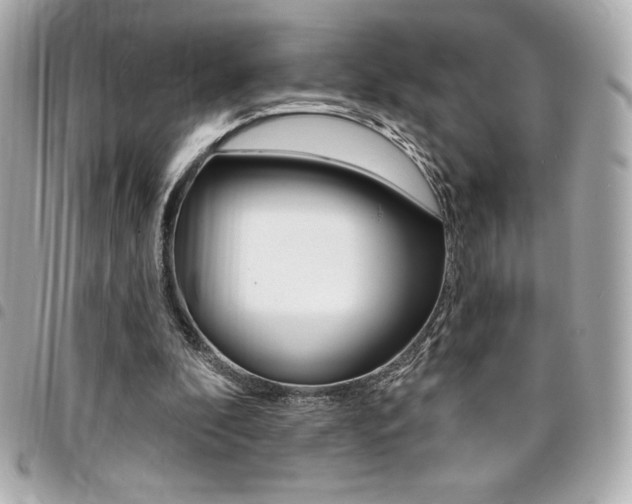 X0000095510296200712140941