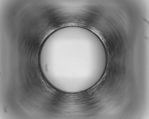 X0000095510297200712140941