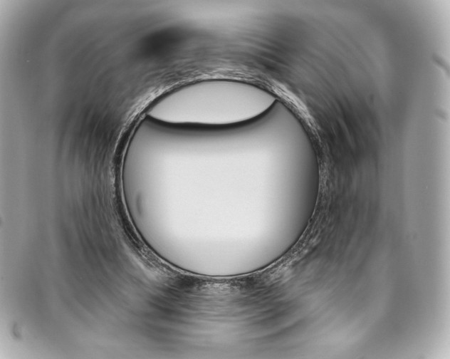 X0000095510298200712140941