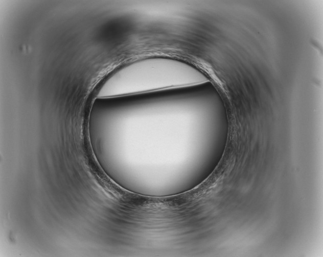 X0000095510299200712140941