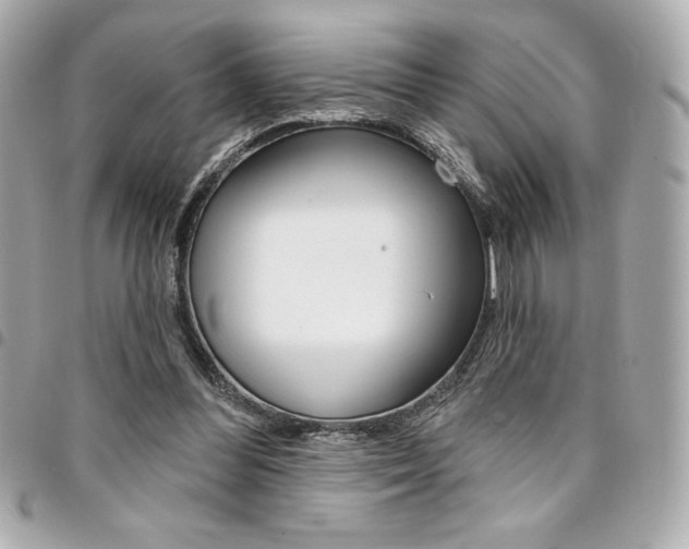 X0000095510300200712140940