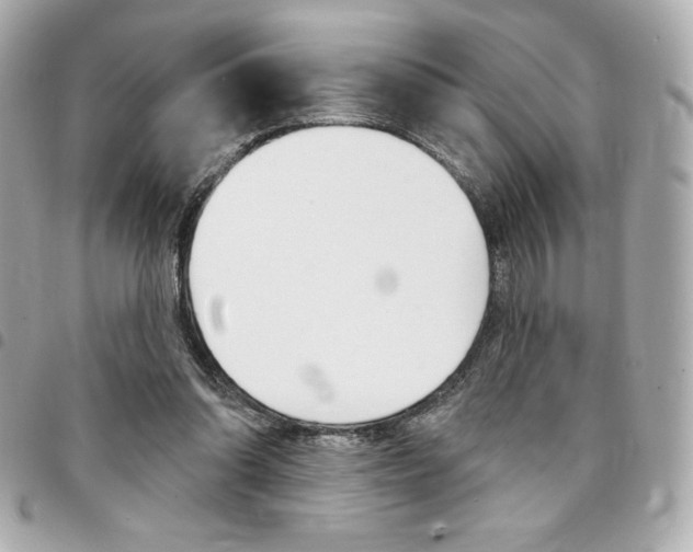 X0000095510302200712140940