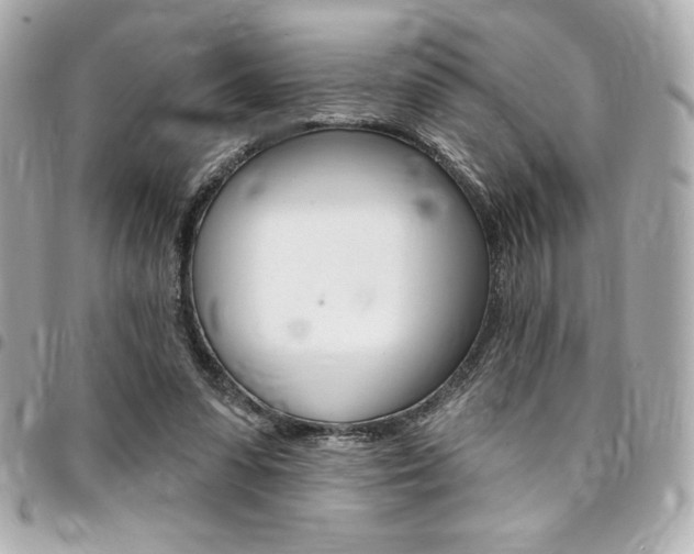 X0000095510303200712140940