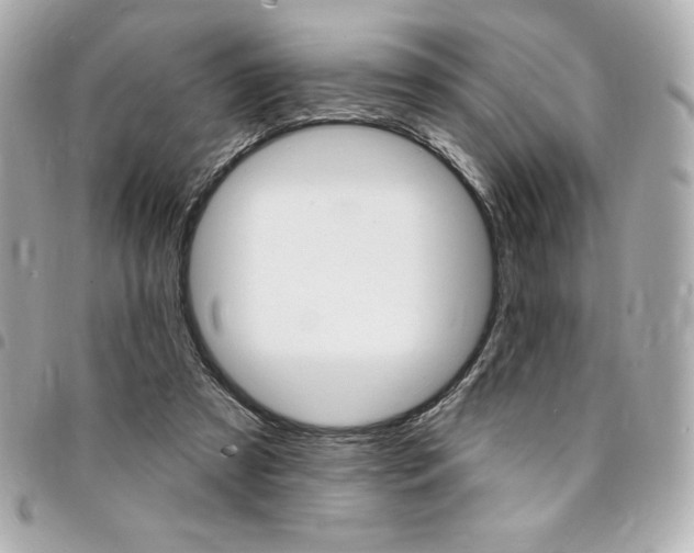 X0000095510305200712140940
