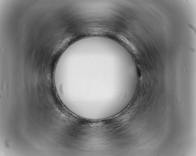 X0000095510306200712140940