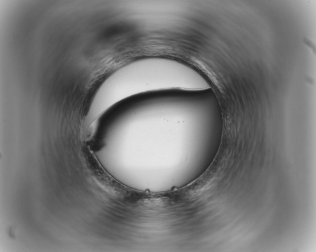 X0000095510307200712140940