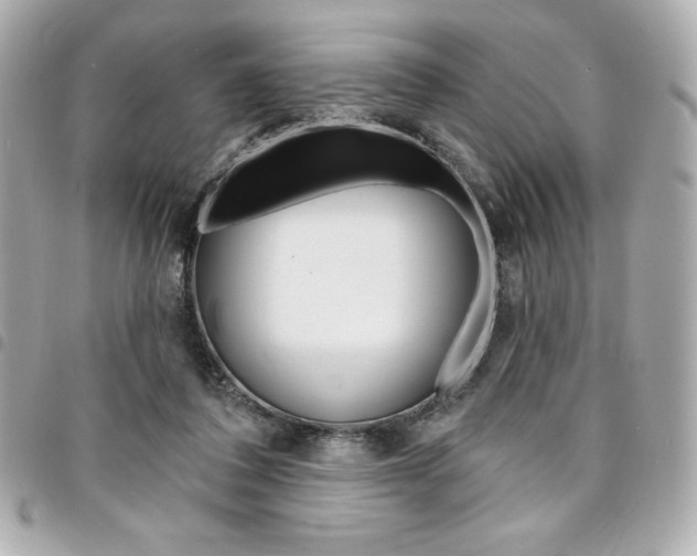 X0000095510308200712140940