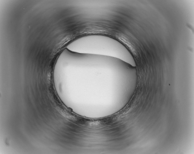 X0000095510309200712140940