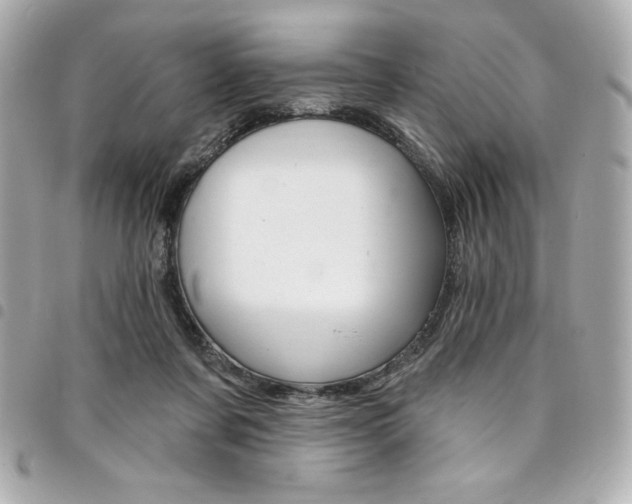 X0000095510311200712140940