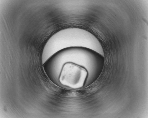 X0000095510316200712140940