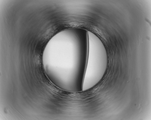 X0000095510317200712140940