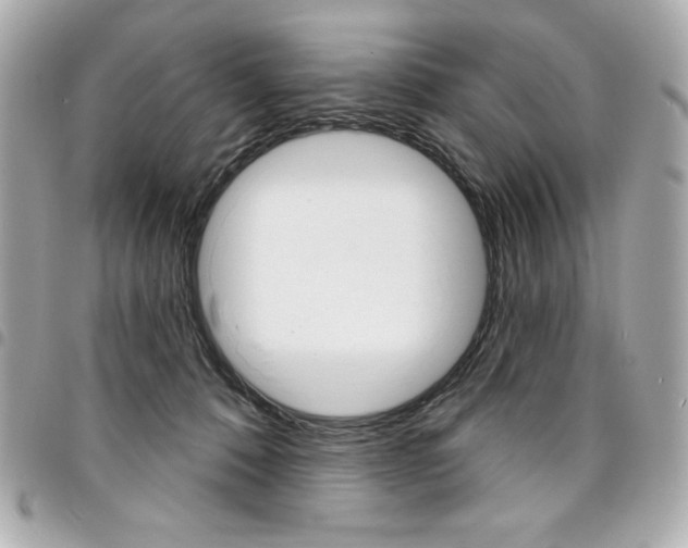 X0000095510320200712140940