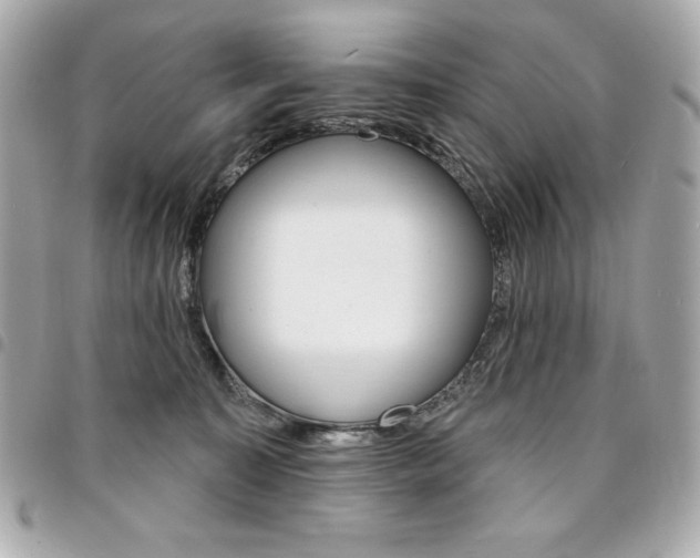 X0000095510323200712140940