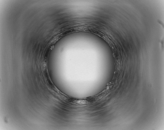 X0000095510324200712140940