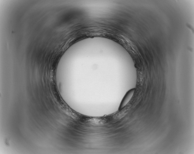 X0000095510326200712140940