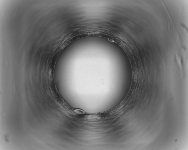 X0000095510327200712140940