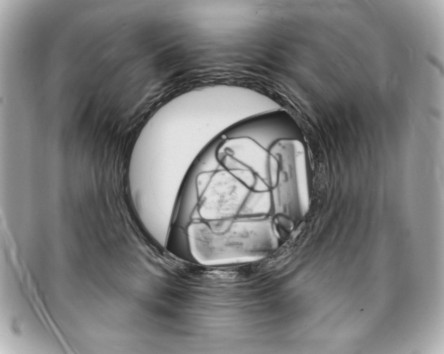 X0000095510328200712140940