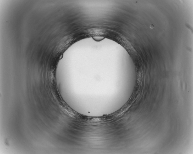 X0000095510330200712140940