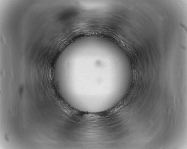 X0000095510331200712140940