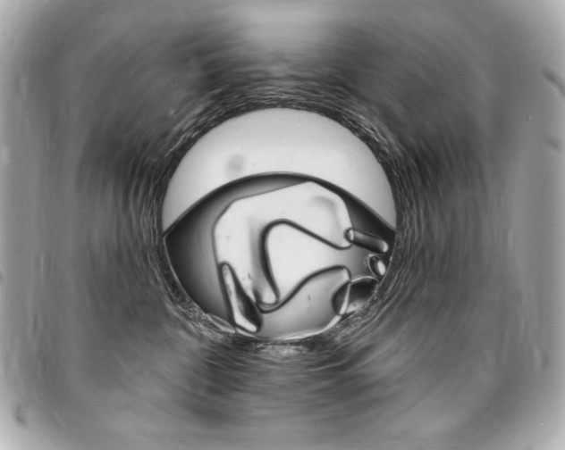 X0000095510332200712140940
